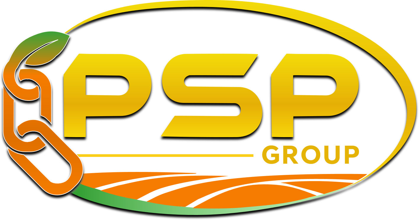 PSP Group Logo